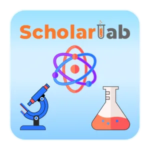 Scholarlab 1 Year License - Grade: 6-8
